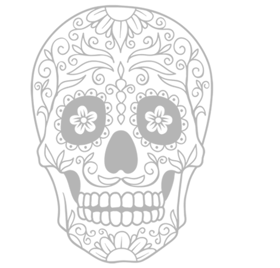 Skull icon