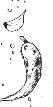 shape